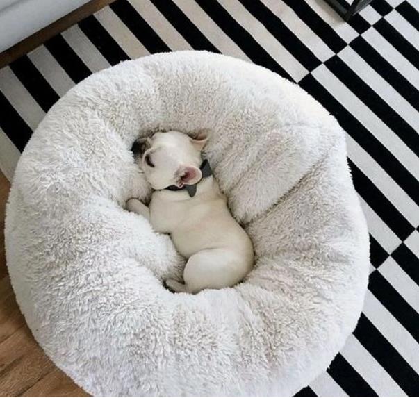 Cama Calmante Para Cachorro e Gato