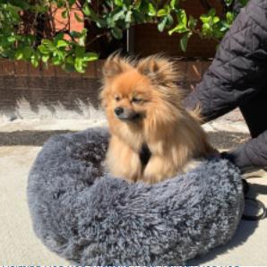 Cama Calmante Para Cachorro e Gato