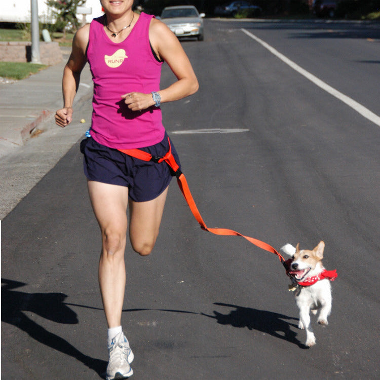Cão de tração com cinto de corrida matinal correndo corda de tração especial